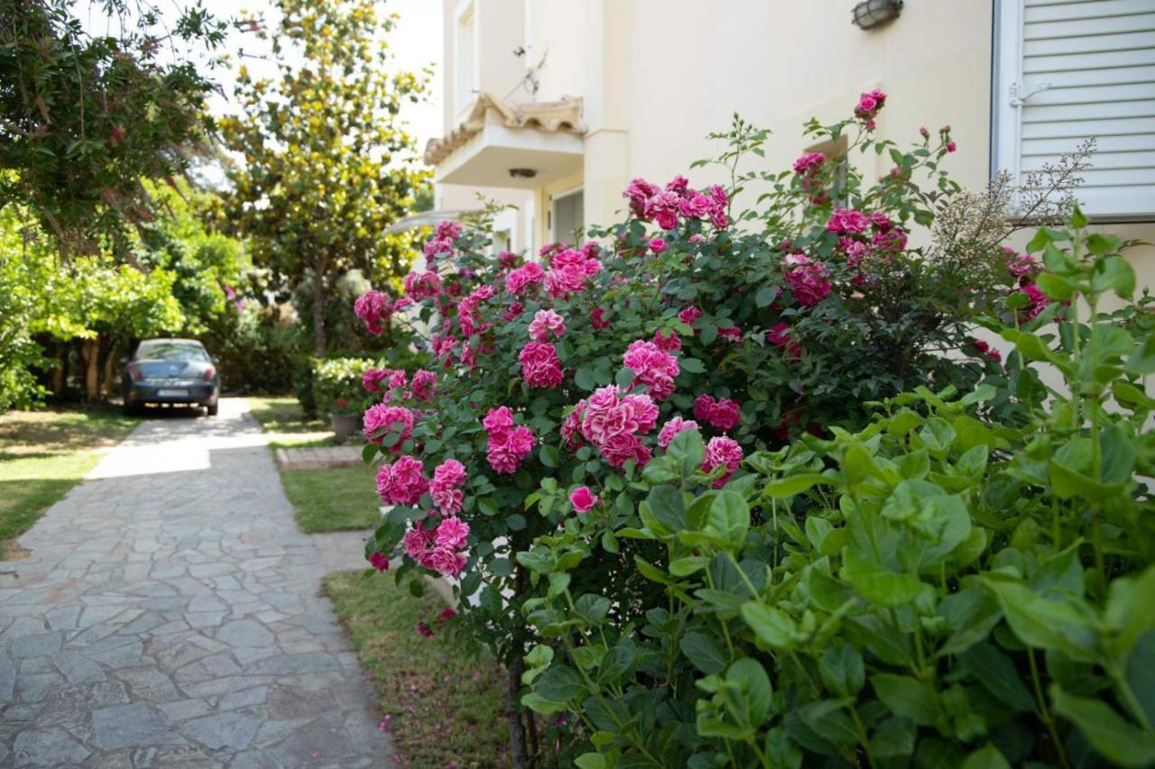 Palaiohora Avias Apartments Luaran gambar